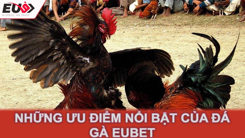 Những ưu điểm nổi bật của đá gà Eubet