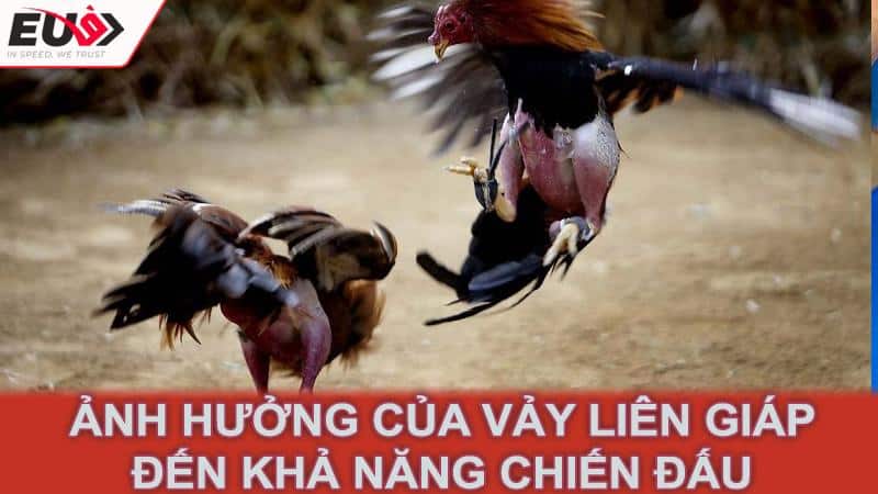 Ảnh hưởng của vảy liên giáp đến khả năng chiến đấu