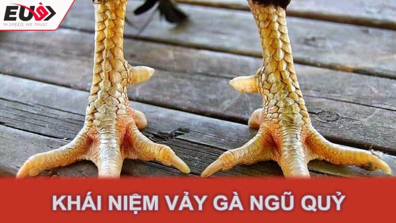 Khái niệm vảy gà ngũ quỷ