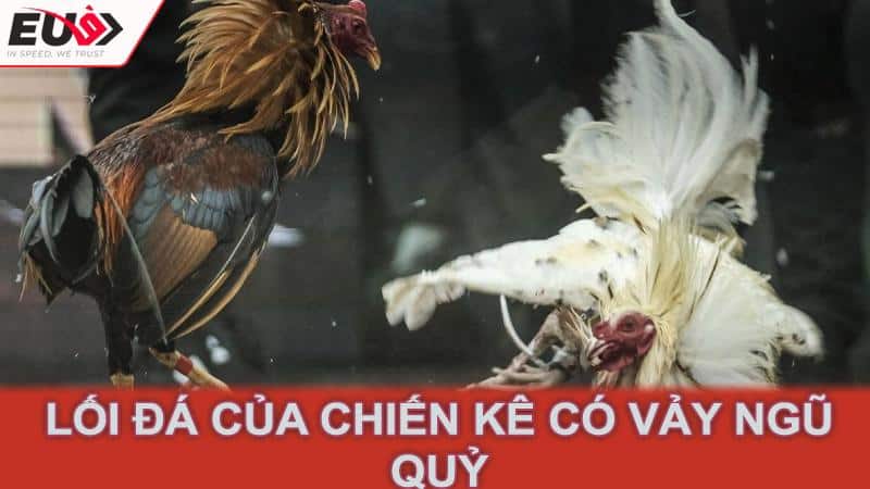 Lối đá của chiến kê có vảy ngũ quỷ