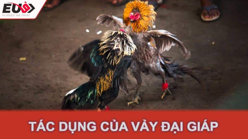 Tác dụng của vảy đại giáp